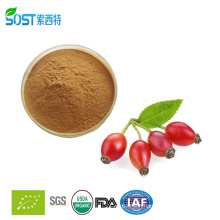 High Quality VC 5% Rose Hip Fruit Extract